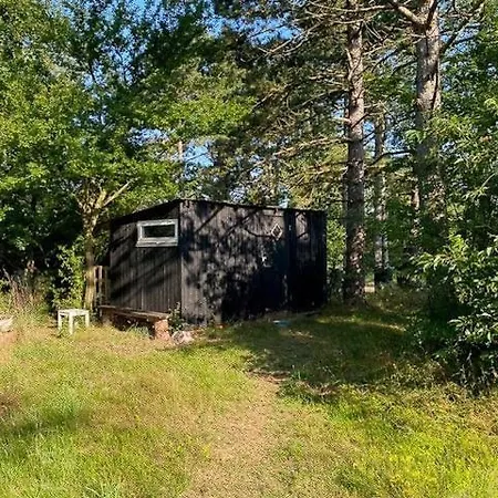 Authentic By Reerso *