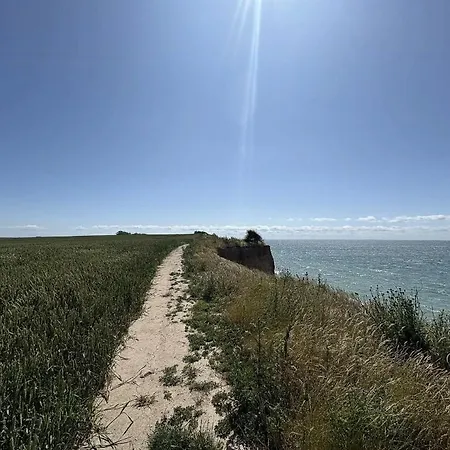 Authentic By Reerso *