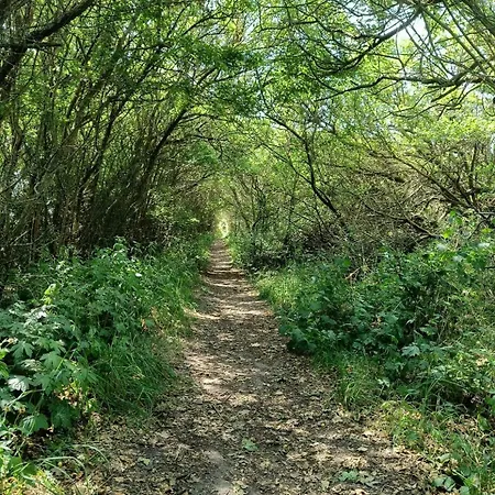 Authentic By Reerso * Gorlev